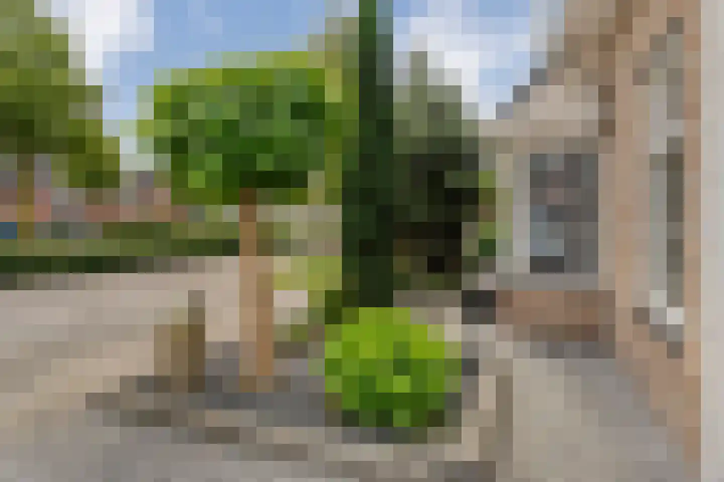 De Bolster 10 Hollandscheveld thumbnail 49