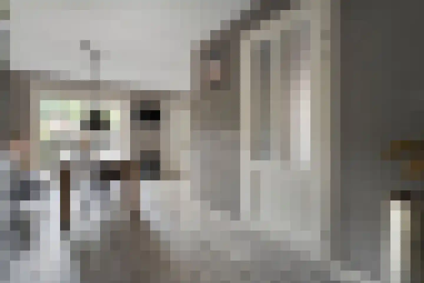 De Bolster 10 Hollandscheveld thumbnail 7