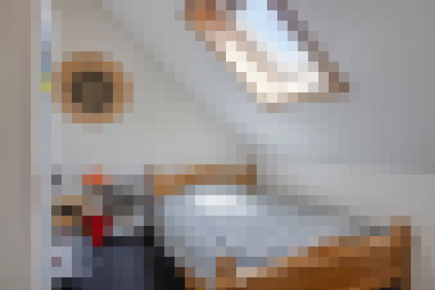 De Bolster 13 Hollandscheveld thumbnail 24