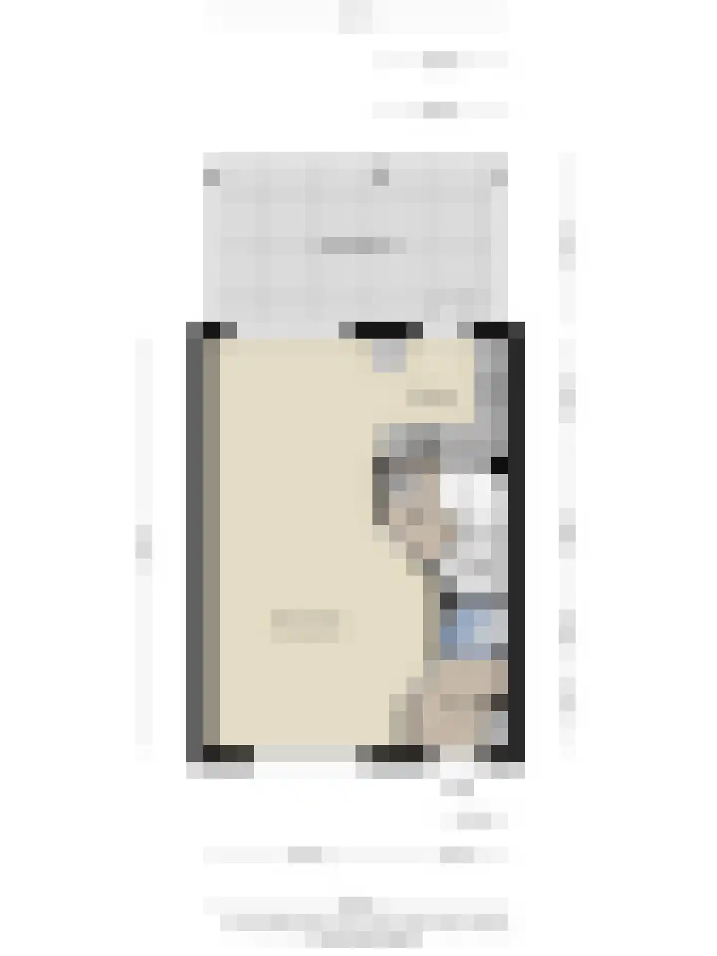 De Bolster 13 Hollandscheveld thumbnail 32