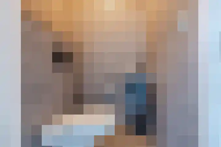 De Bolster 50 Hollandscheveld thumbnail 10