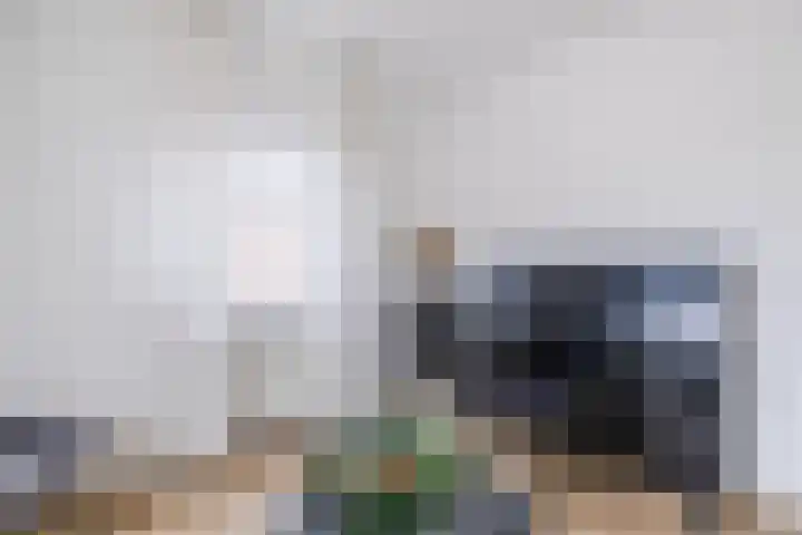 De Bolster 50 Hollandscheveld thumbnail 14