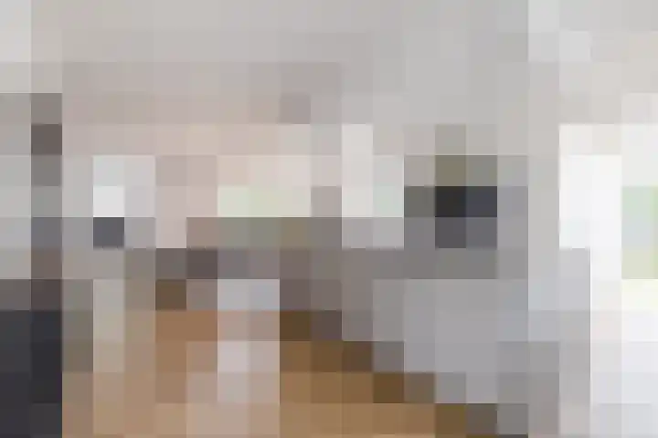 De Bolster 50 Hollandscheveld thumbnail 15