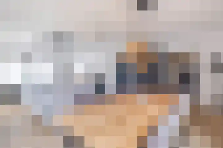 De Bolster 50 Hollandscheveld thumbnail 19