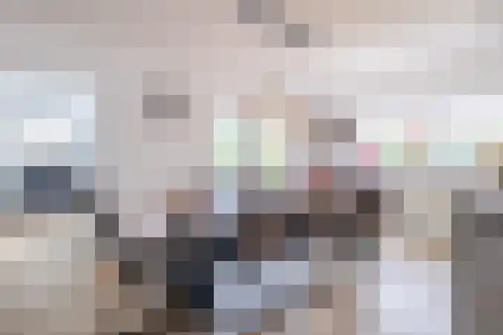 De Bolster 50 Hollandscheveld thumbnail 22