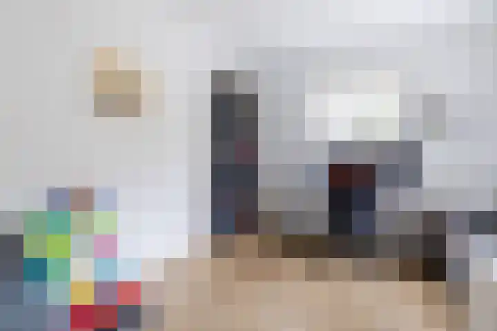 De Bolster 50 Hollandscheveld thumbnail 23