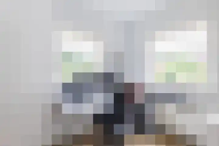 De Bolster 50 Hollandscheveld thumbnail 24