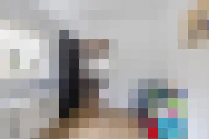 De Bolster 50 Hollandscheveld thumbnail 25