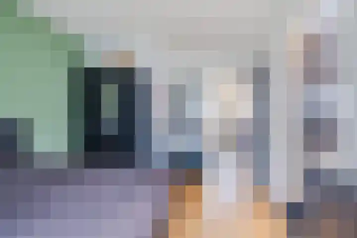 De Bolster 50 Hollandscheveld thumbnail 27