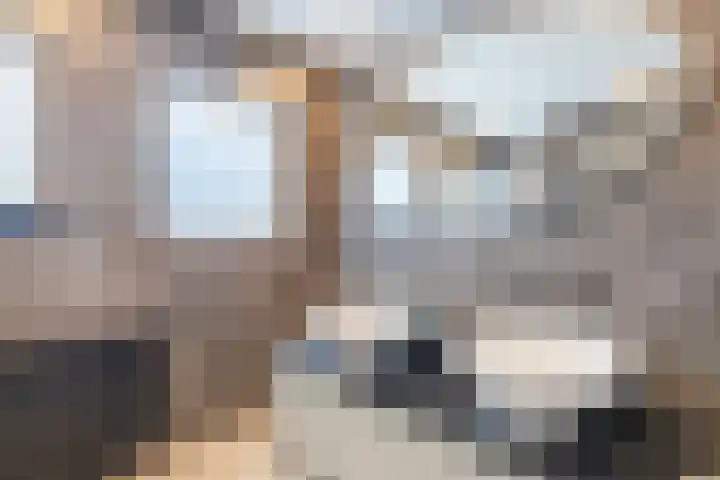 De Bolster 50 Hollandscheveld thumbnail 30