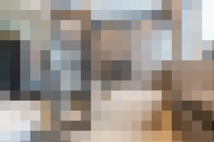 De Bolster 50 Hollandscheveld thumbnail 33