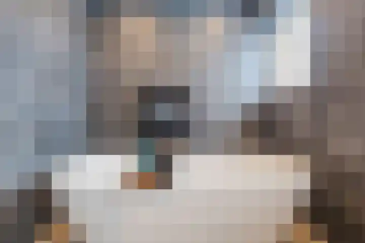 De Bolster 50 Hollandscheveld thumbnail 35