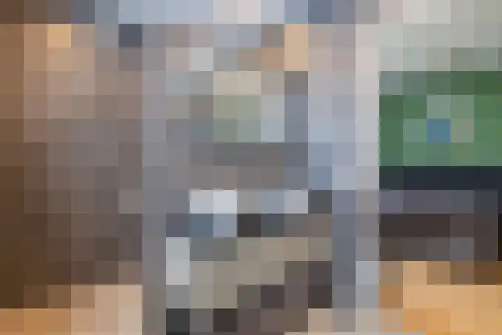 De Bolster 50 Hollandscheveld thumbnail 36