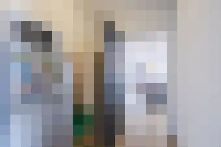 De Bolster 50 Hollandscheveld thumbnail 39
