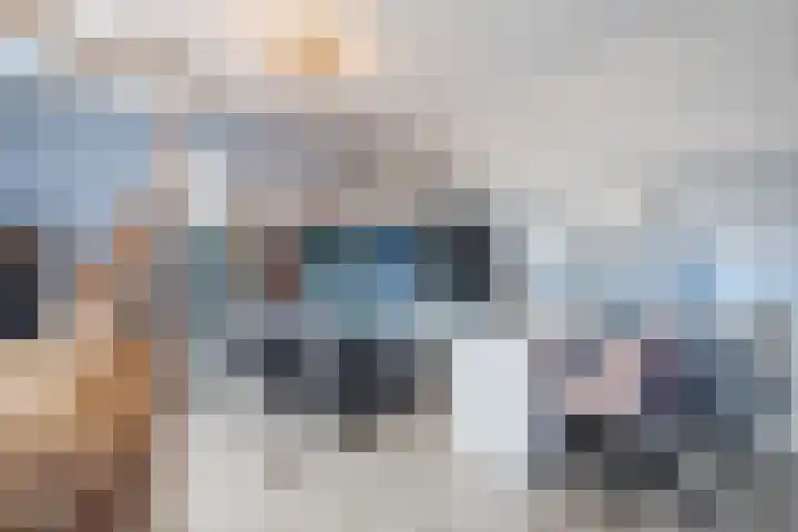De Bolster 50 Hollandscheveld thumbnail 42