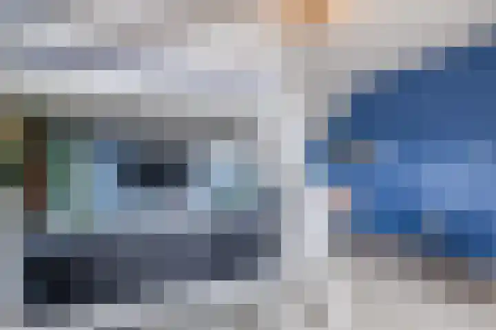 De Bolster 50 Hollandscheveld thumbnail 44