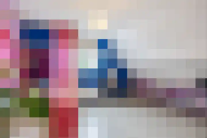 De Bolster 50 Hollandscheveld thumbnail 48