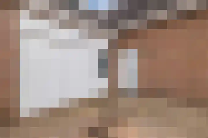De Bolster 50 Hollandscheveld thumbnail 5