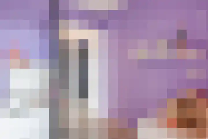 De Bolster 50 Hollandscheveld thumbnail 56