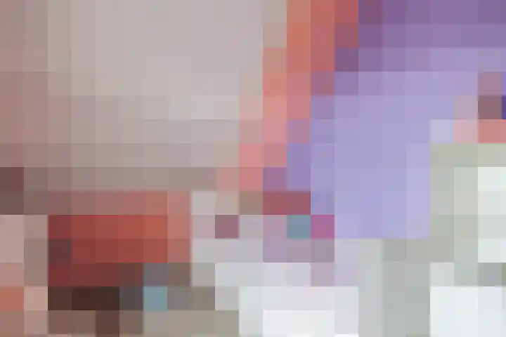 De Bolster 50 Hollandscheveld thumbnail 57