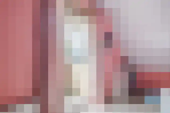 De Bolster 50 Hollandscheveld thumbnail 59