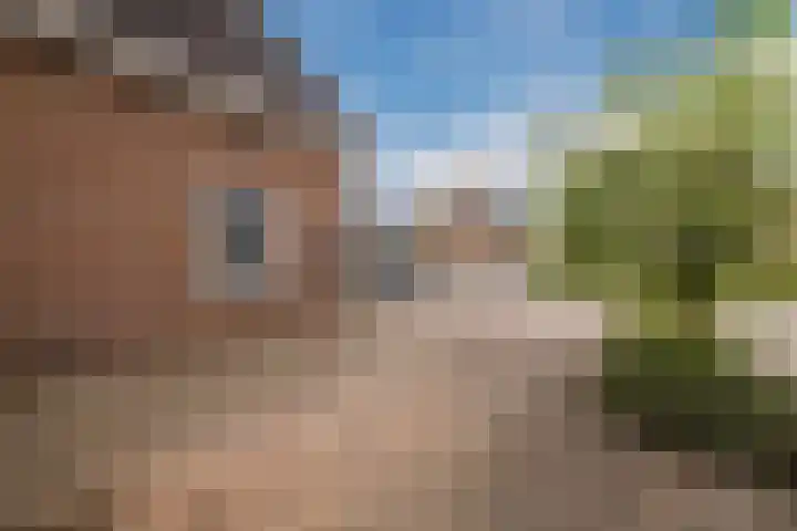 De Bolster 50 Hollandscheveld thumbnail 6
