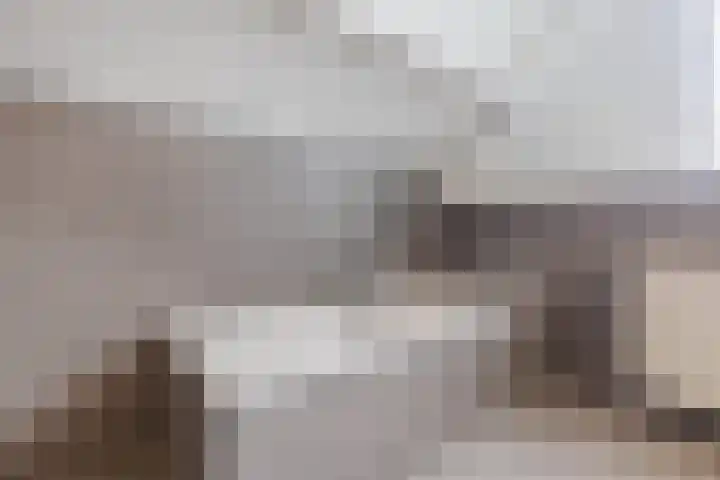 De Bolster 50 Hollandscheveld thumbnail 64