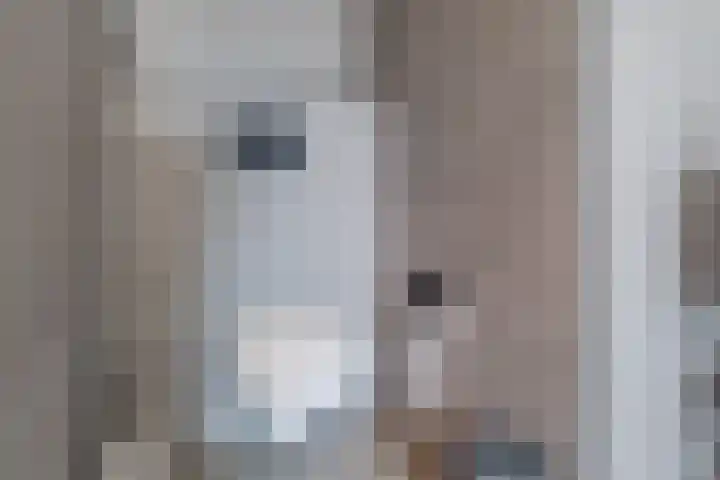 De Bolster 50 Hollandscheveld thumbnail 66