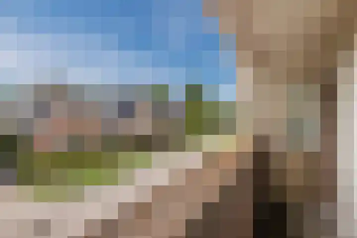 De Bolster 50 Hollandscheveld thumbnail 67