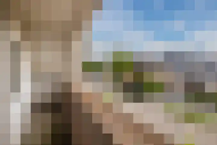 De Bolster 50 Hollandscheveld thumbnail 68