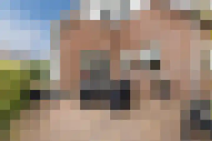 De Bolster 50 Hollandscheveld thumbnail 69