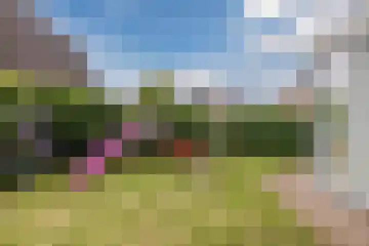 De Bolster 50 Hollandscheveld thumbnail 70