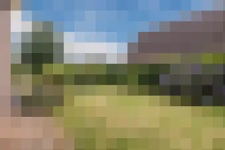 De Bolster 50 Hollandscheveld thumbnail 71