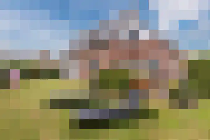 De Bolster 50 Hollandscheveld thumbnail 73