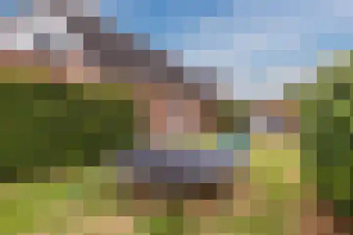 De Bolster 50 Hollandscheveld thumbnail 74