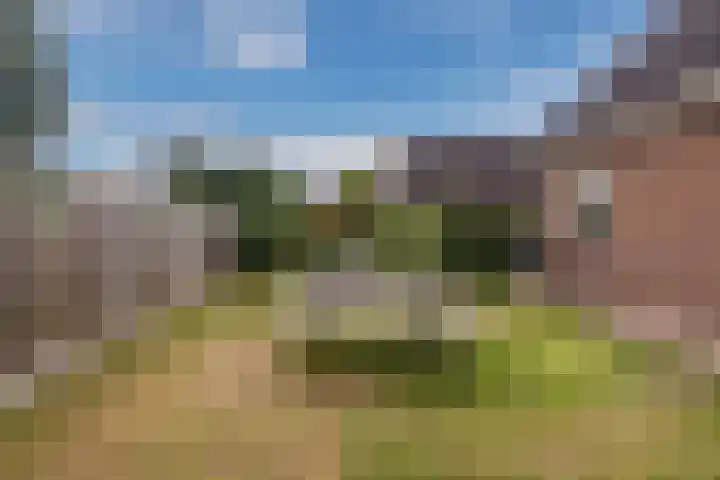 De Bolster 50 Hollandscheveld thumbnail 75