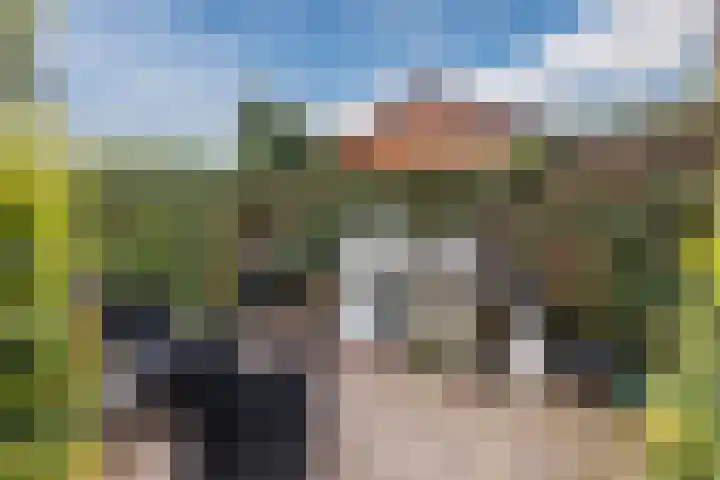 De Bolster 50 Hollandscheveld thumbnail 76
