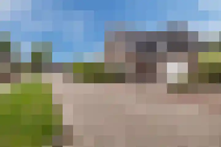 De Bolster 50 Hollandscheveld thumbnail 77