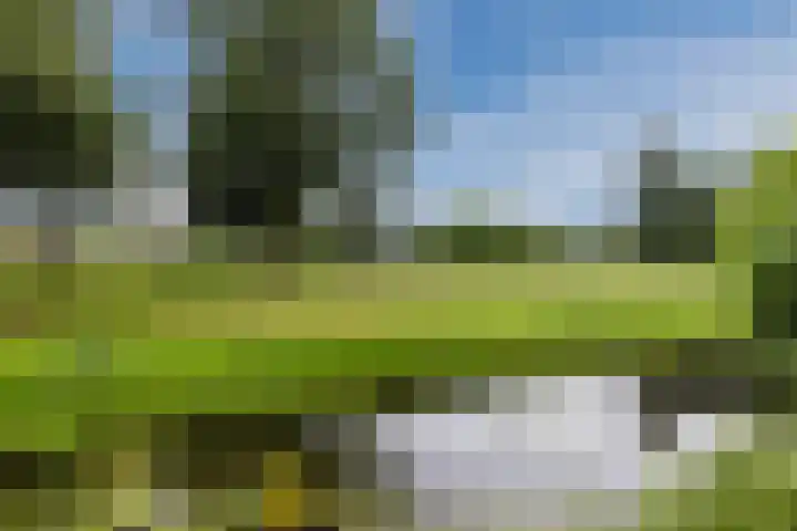 De Bolster 50 Hollandscheveld thumbnail 78