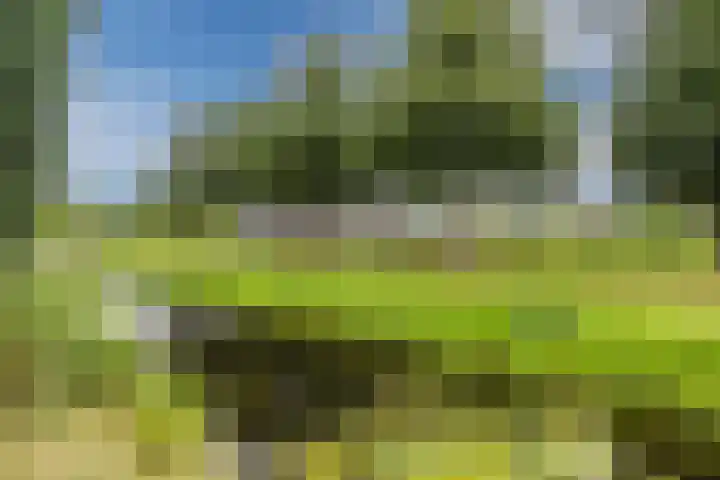 De Bolster 50 Hollandscheveld thumbnail 79