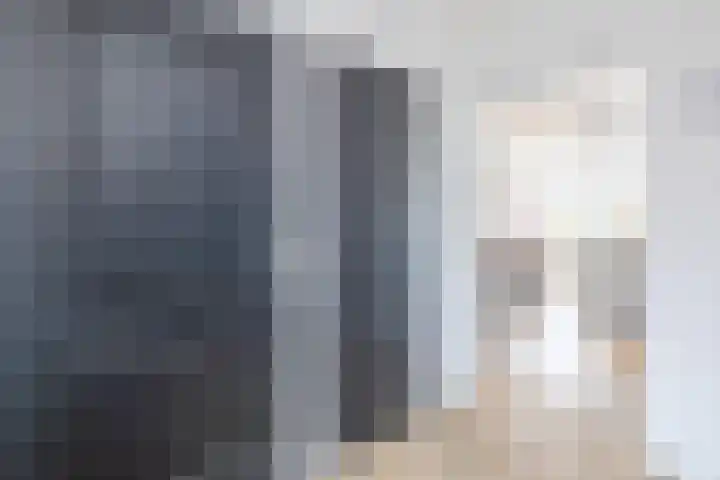 De Bolster 50 Hollandscheveld thumbnail 9