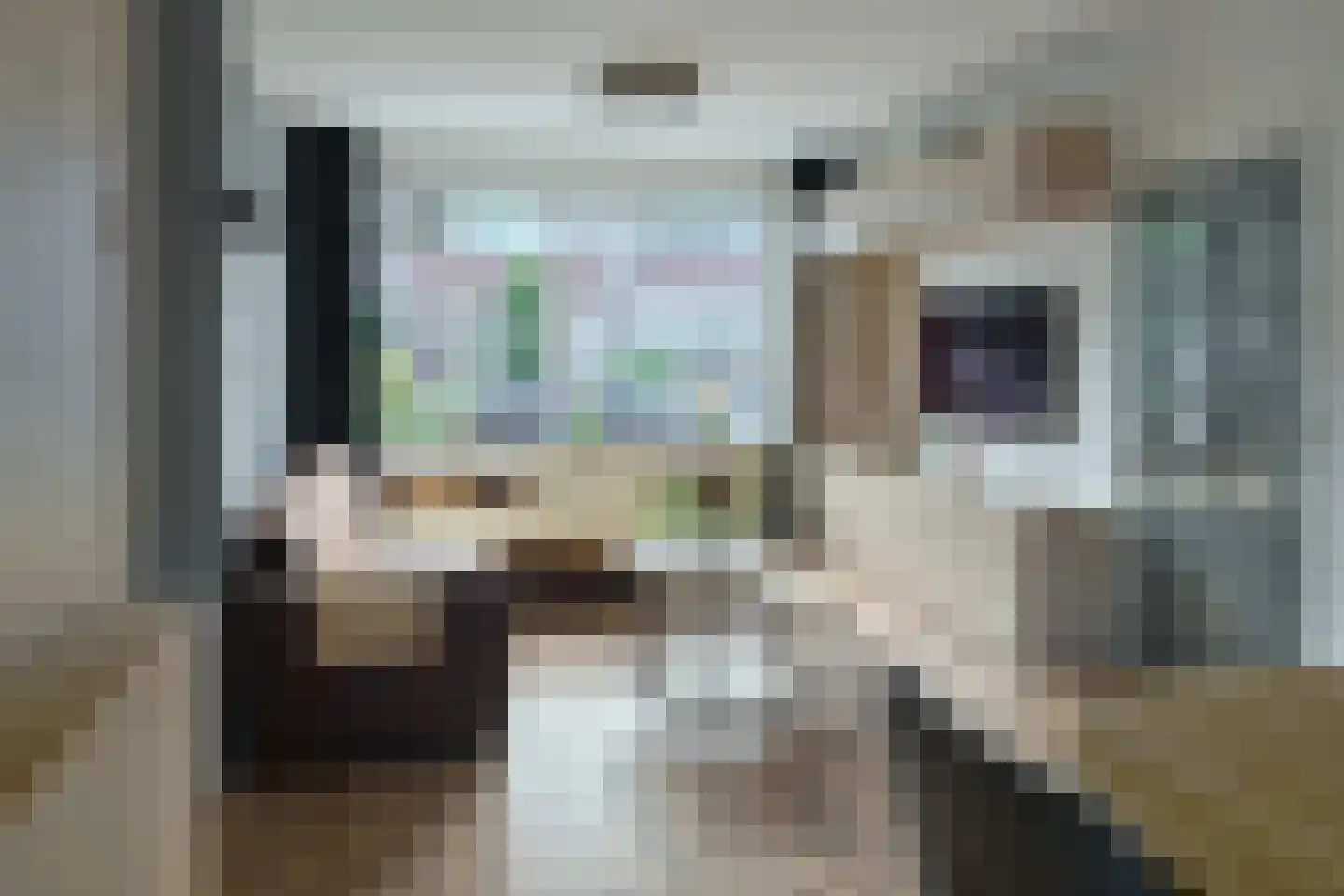 De Bolten 6 Drachten thumbnail 17