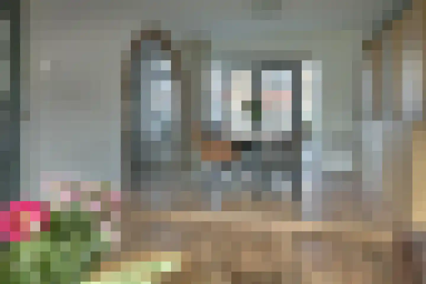 De Bolten 6 Drachten thumbnail 21