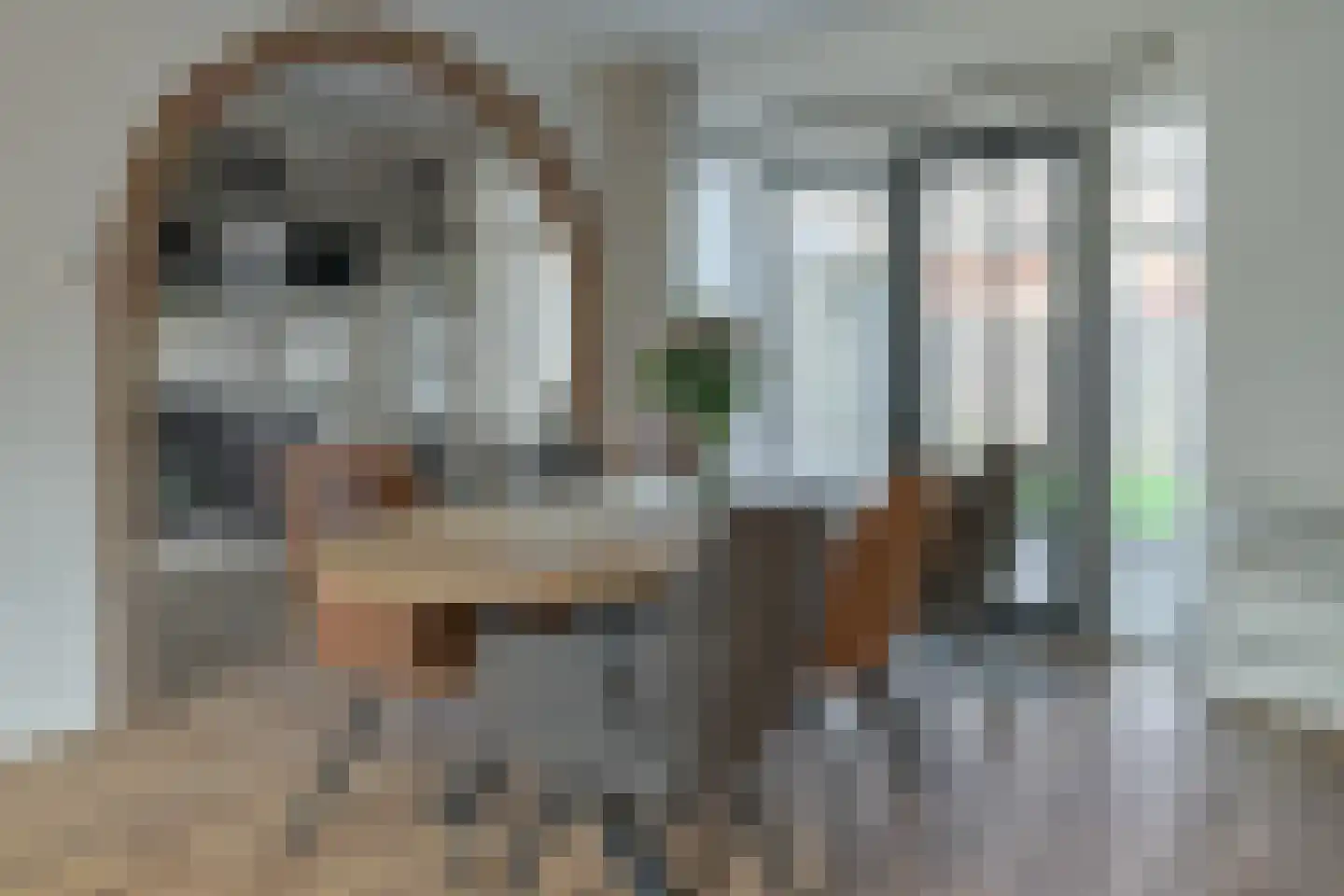 De Bolten 6 Drachten thumbnail 22