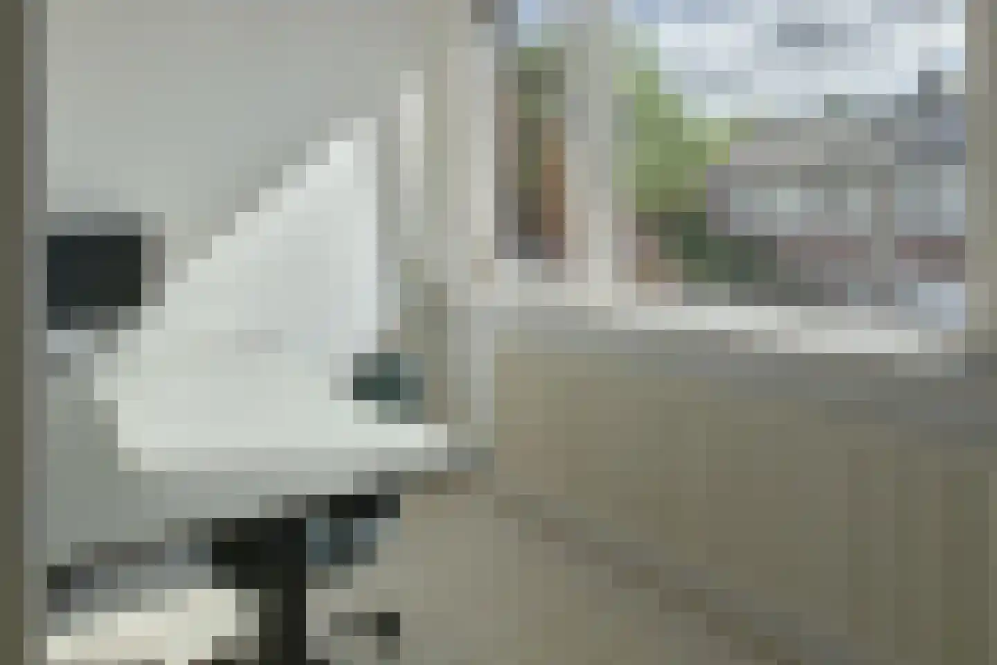 De Bolten 6 Drachten thumbnail 32