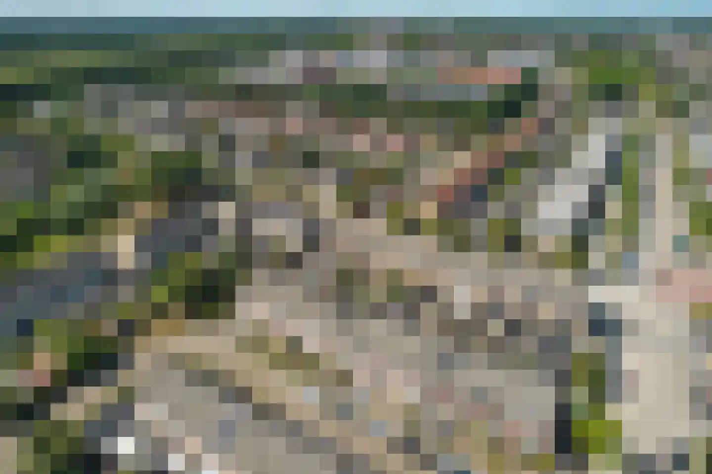 De Bolten 6 Drachten thumbnail 9
