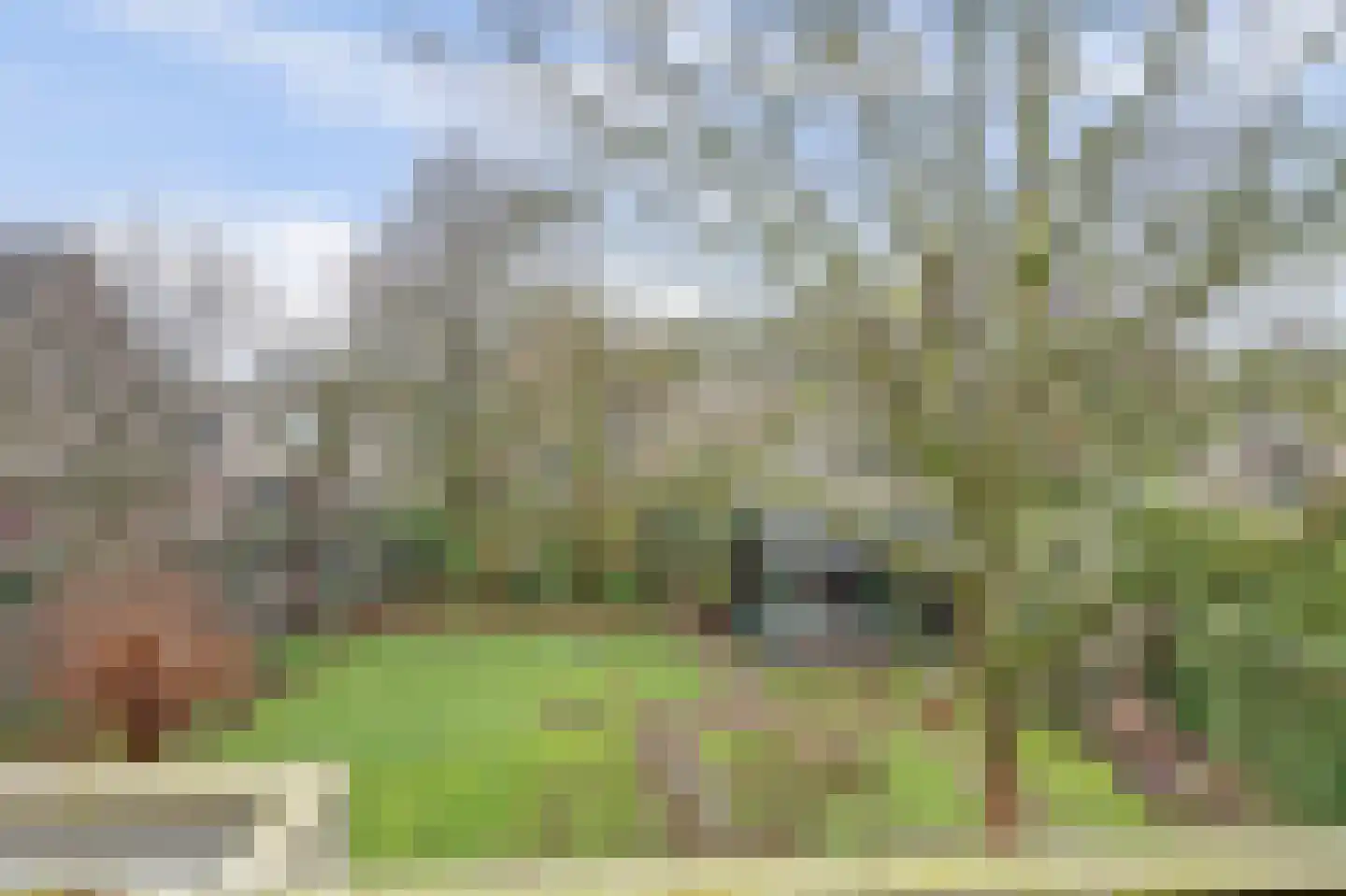 de Bommerij 19 Twello thumbnail 29