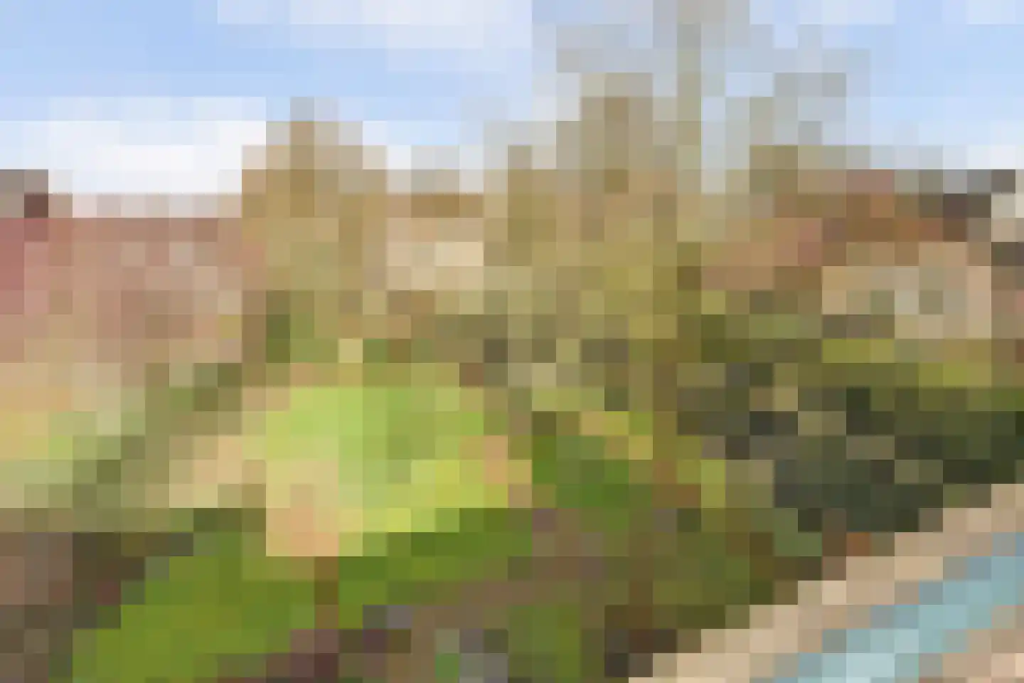 de Bommerij 19 Twello thumbnail 37