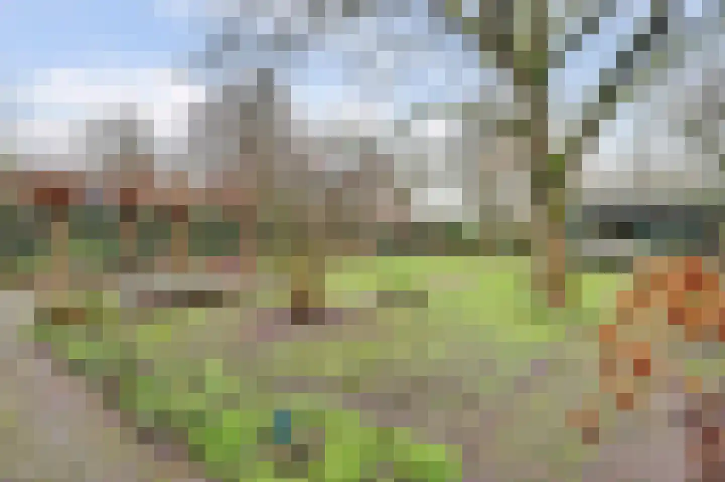 de Bommerij 19 Twello thumbnail 42