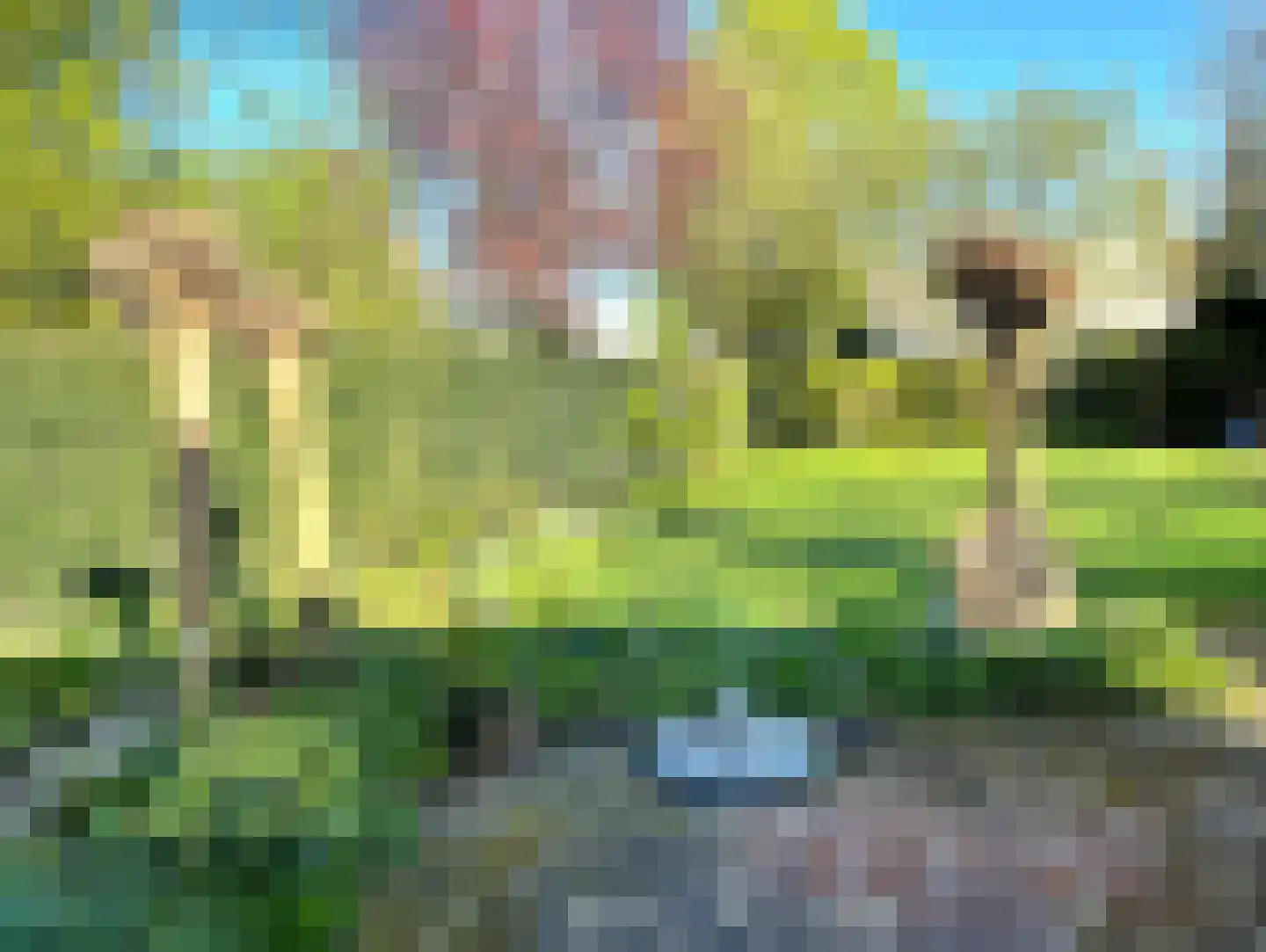 de Bommerij 19 Twello thumbnail 46